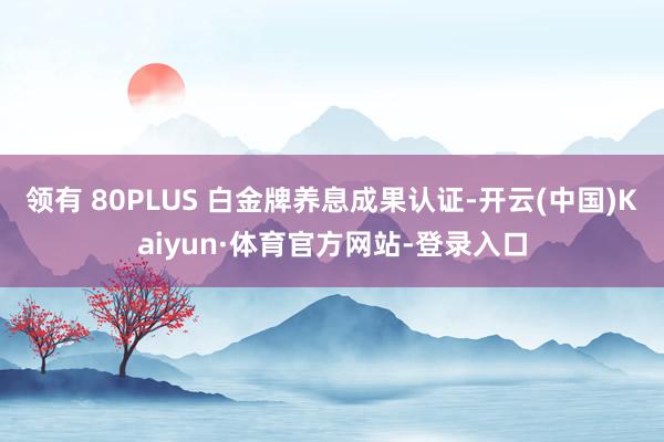 领有 80PLUS 白金牌养息成果认证-开云(中国)Kaiyun·体育官方网站-登录入口